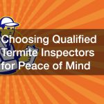 Choosing Qualified Termite Inspectors for Peace of Mind